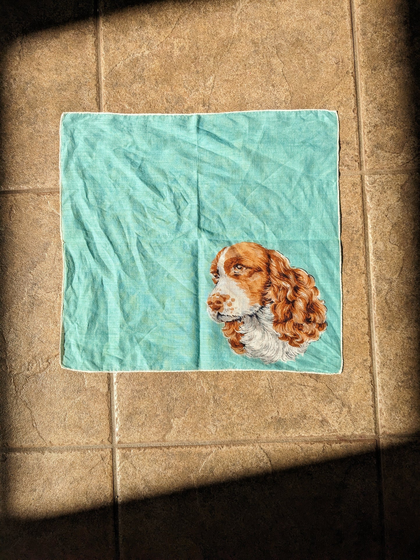 1960s Cavalier King Charles Spaniel scarf